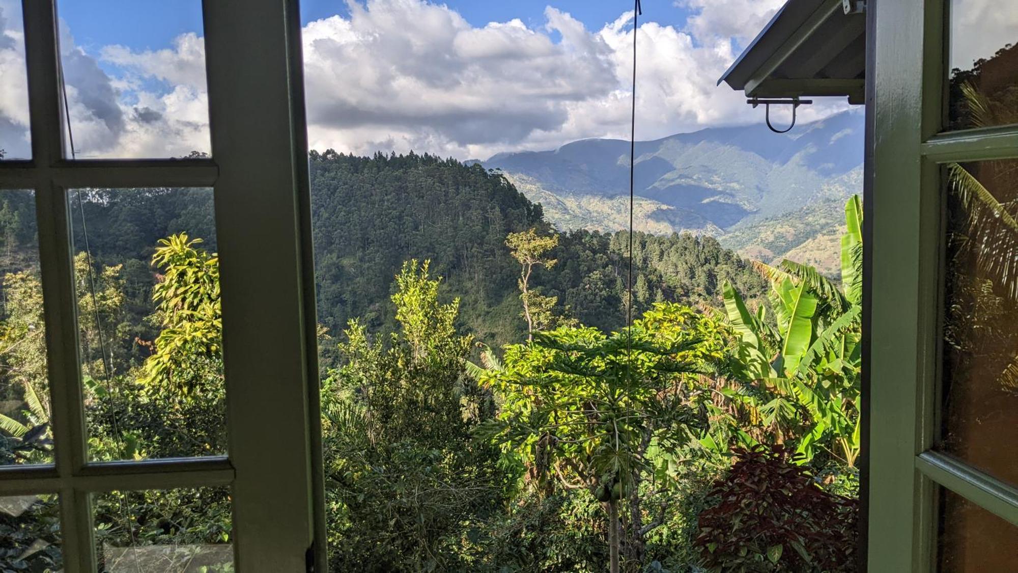 Mavis Bank Lime Tree Farm, Blue Mountains 빌라 외부 사진