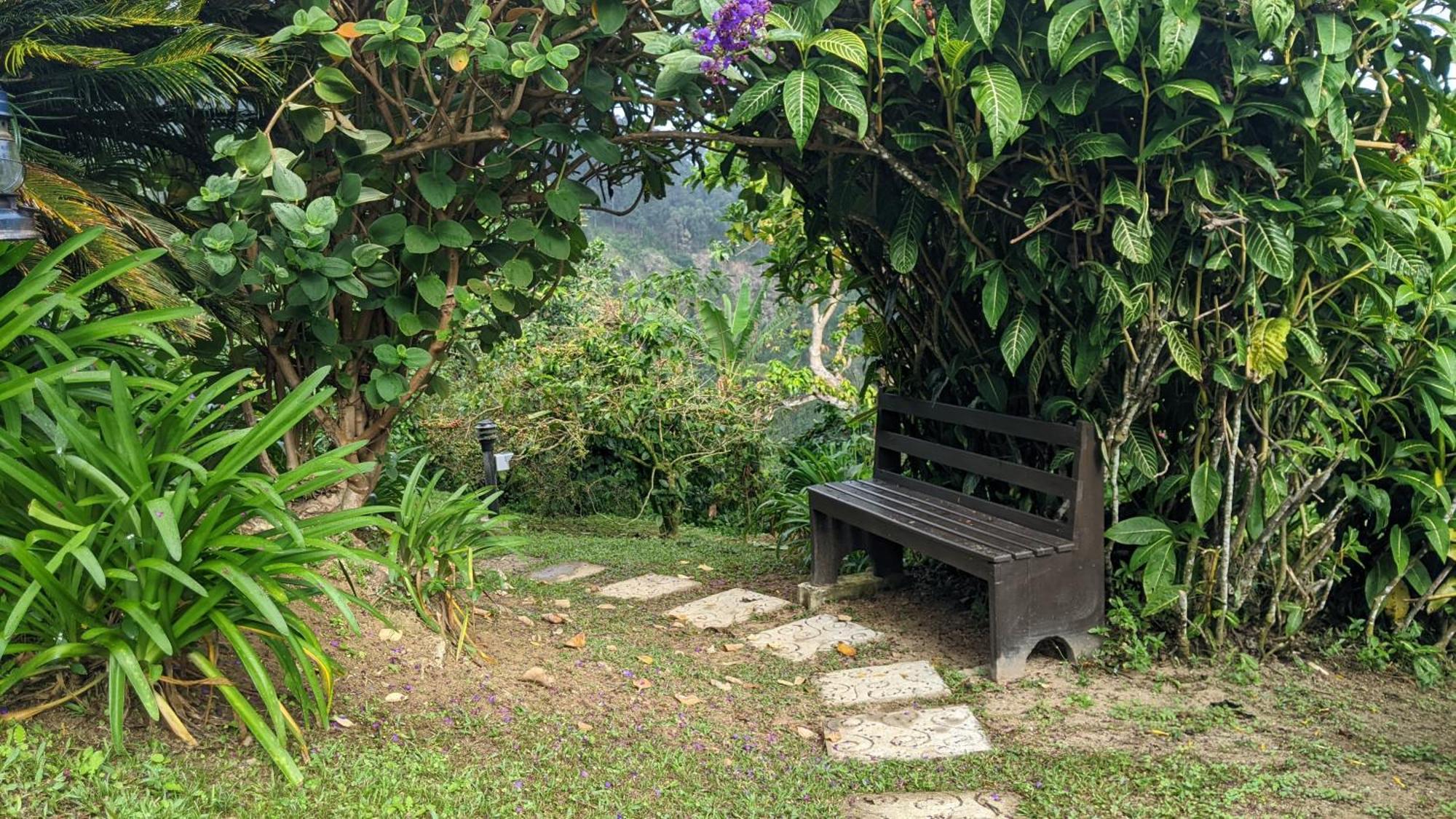 Mavis Bank Lime Tree Farm, Blue Mountains 빌라 외부 사진